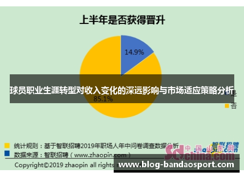 球员职业生涯转型对收入变化的深远影响与市场适应策略分析