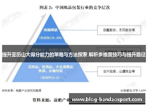 提升亚历山大得分能力的策略与方法探索 解析多维度技巧与提升路径