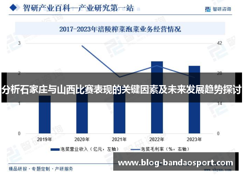 分析石家庄与山西比赛表现的关键因素及未来发展趋势探讨
