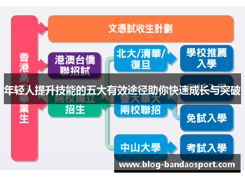 年轻人提升技能的五大有效途径助你快速成长与突破