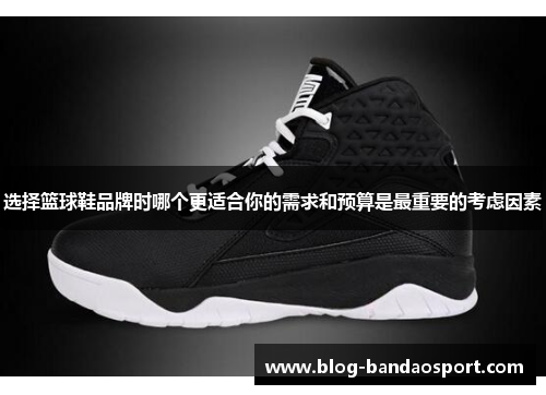选择篮球鞋品牌时哪个更适合你的需求和预算是最重要的考虑因素