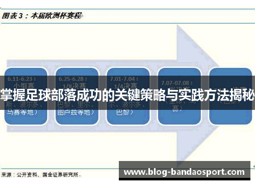 掌握足球部落成功的关键策略与实践方法揭秘