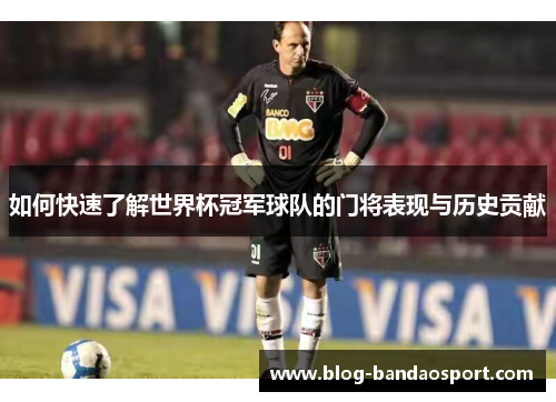 如何快速了解世界杯冠军球队的门将表现与历史贡献