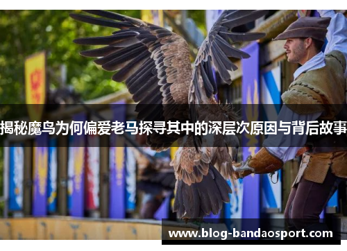 揭秘魔鸟为何偏爱老马探寻其中的深层次原因与背后故事