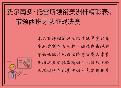 费尔南多·托雷斯领衔美洲杯精彩表现带领西班牙队征战决赛