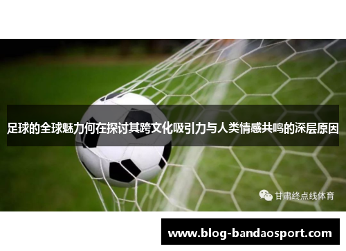 足球的全球魅力何在探讨其跨文化吸引力与人类情感共鸣的深层原因