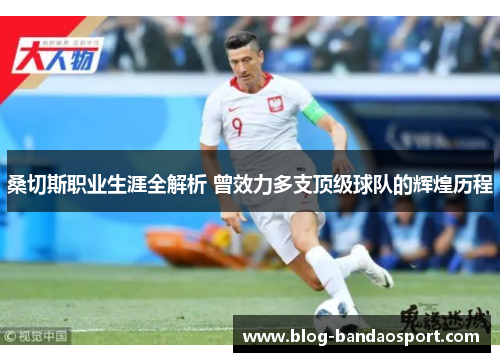 桑切斯职业生涯全解析 曾效力多支顶级球队的辉煌历程