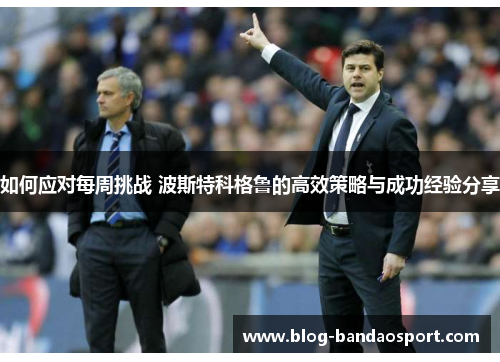 如何应对每周挑战 波斯特科格鲁的高效策略与成功经验分享