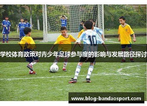 学校体育政策对青少年足球参与度的影响与发展路径探讨